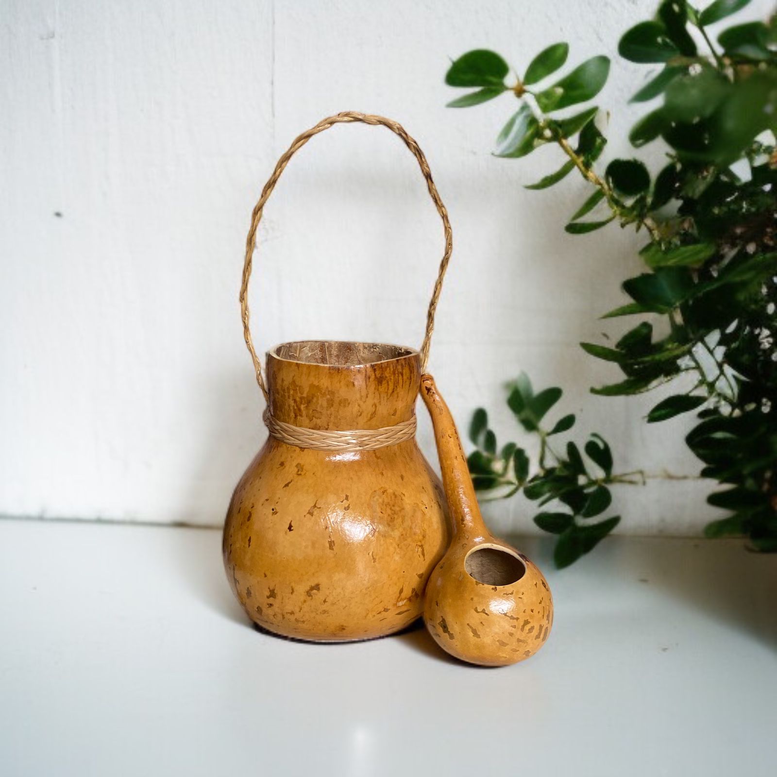 Natural-Gourd-Bucket-And-Ladle-Set-Custom-Creations
