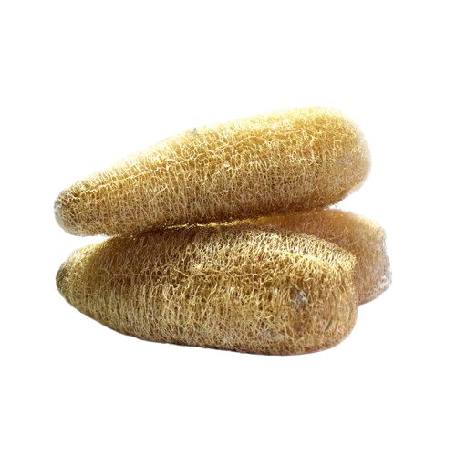 Locally Grown Ridge Gourd Natural Luffa Scrubber