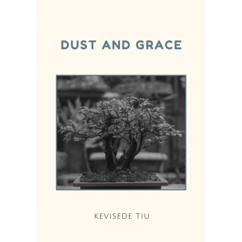 Dust And Grace by Kevisede Tiu