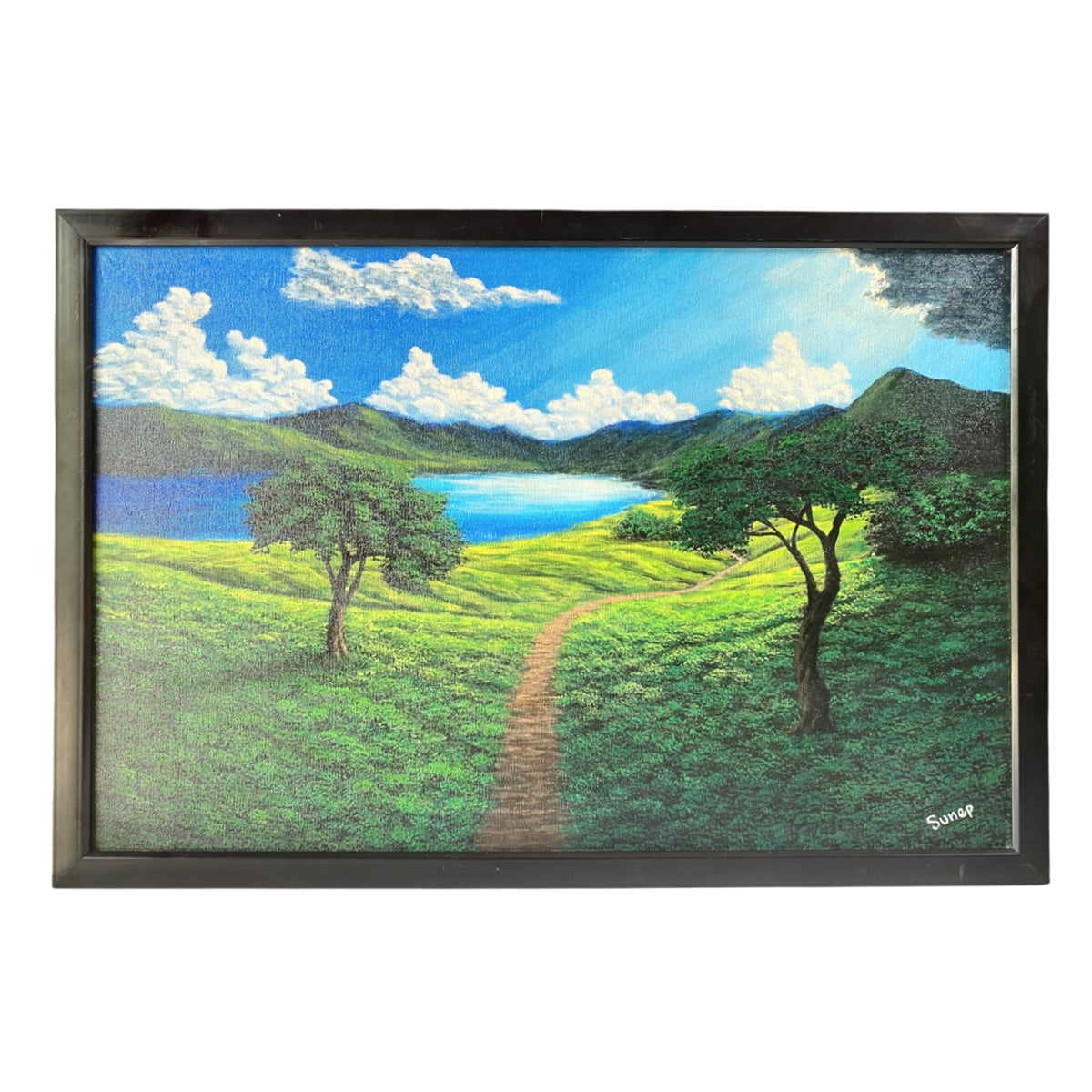Dzukou Valley Lake Pathway-Scenic Green Hills Framed Canvas Painting- Imlisunep
