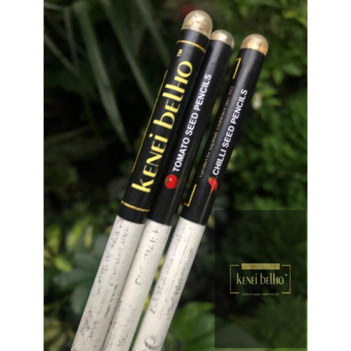 Nagaland newspaper plantable seed pencil- Kenbel Nagaland Official.