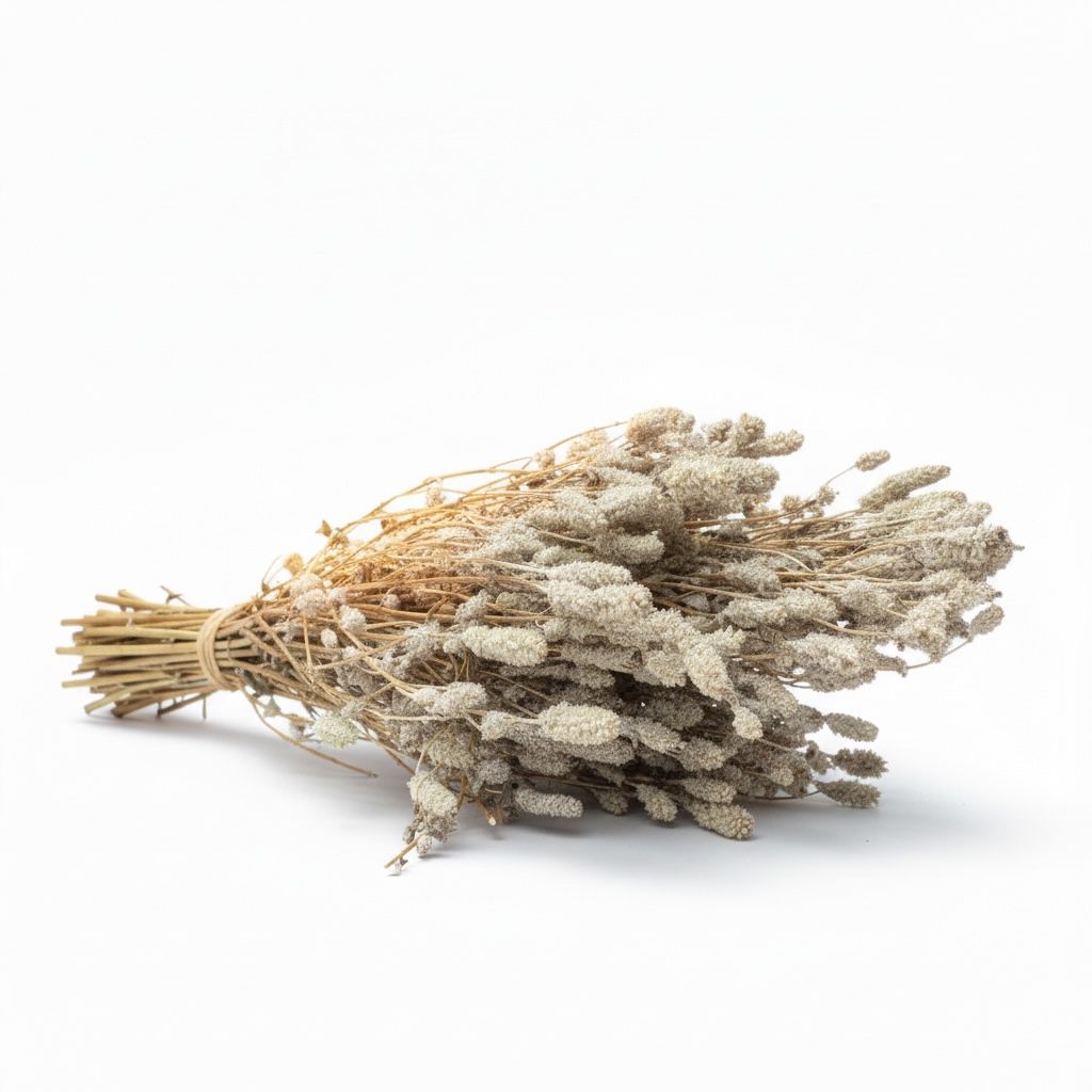 Bouquet of dried napa basil